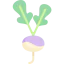 Radish ícono 64x64