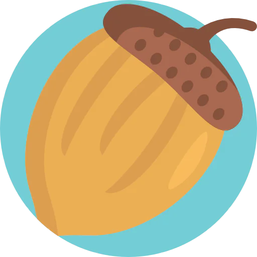 Acorn アイコン