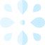Splash 图标 64x64