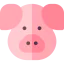 Pig biểu tượng 64x64