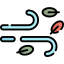 Wind Ikona 64x64