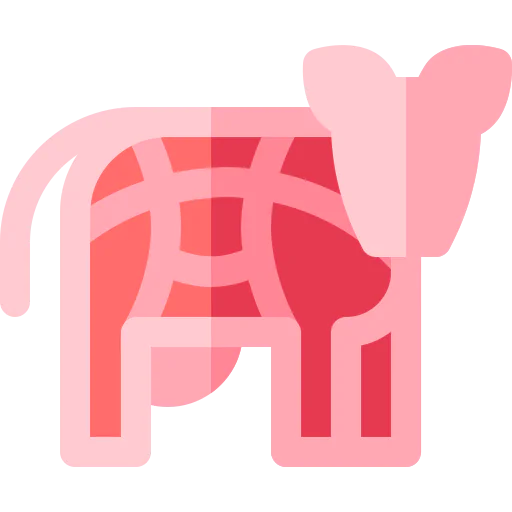 Beef icon