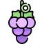 Grapes Ikona 64x64