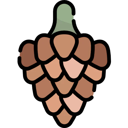 Pine cone icon