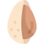 Almond icon 64x64