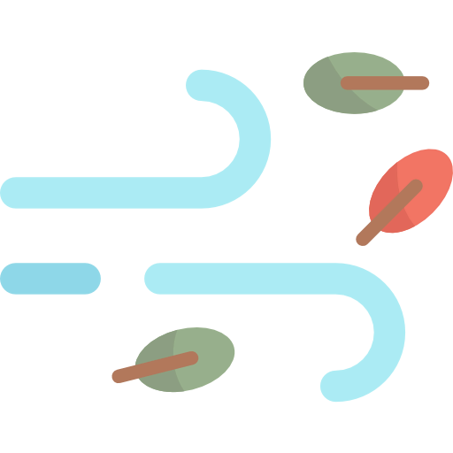 Wind icon