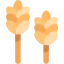 Wheat icon 64x64