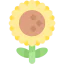 Sunflower icon 64x64