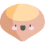 Hazelnut icon 64x64