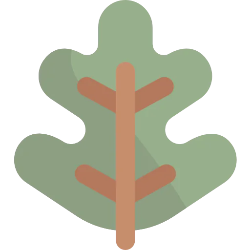 Leaf icon
