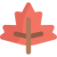 Leaf icon 64x64