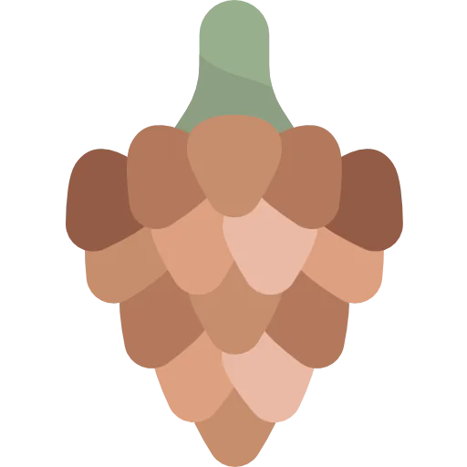 Pine cone ícono