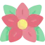 Poinsettia biểu tượng 64x64
