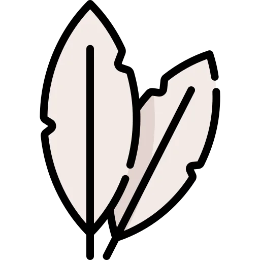 Feather icon