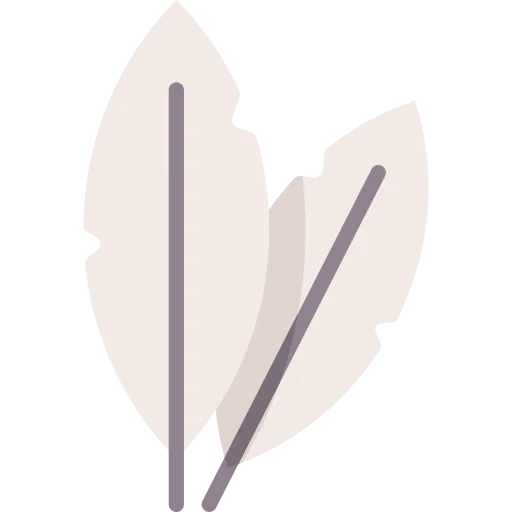 Feather icon