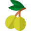 Olive icon 64x64