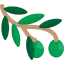 Olive icon 64x64