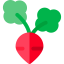 Turnip icon 64x64