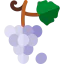 Grapes icon 64x64