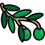 Olive icon 64x64