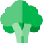 Broccoli icon 64x64