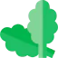 Spinach icon 64x64