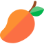 Mango icon 64x64