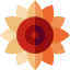 Sunflower icon 64x64