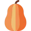 Butternut squash icon 64x64