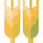 Wheat icon 64x64