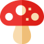 Mushroom icon 64x64
