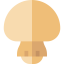 Mushroom icon 64x64