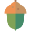 Acorn icon 64x64