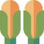 Corn icon 64x64