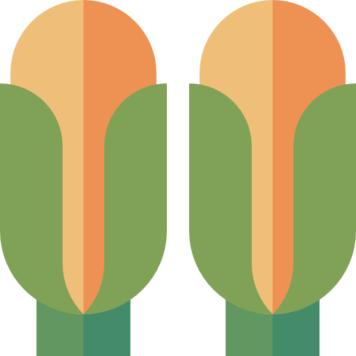 Corn icon
