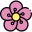 Flower icon 64x64