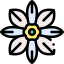Flower icon 64x64