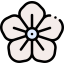 Flower icon 64x64