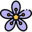 Flower icon 64x64