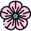 Flower icon 64x64