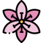 Flower icon 64x64