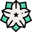 Flower icon 64x64
