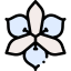 Flower icon 64x64