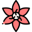 Flower 图标 64x64
