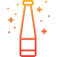 Bottle icon 64x64