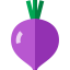 Свекла иконка 64x64