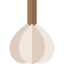 Garlic icon 64x64