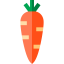 Морковь иконка 64x64