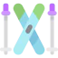 Ski icon 64x64
