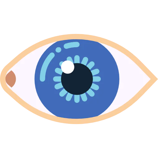 Eye icon